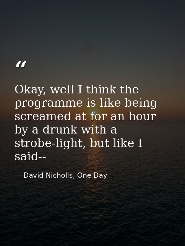 Okay, well I think the programme is like being screamed at for an hour by a drunk with a strobe-light, but like I said-- — David Nicholls, One Day