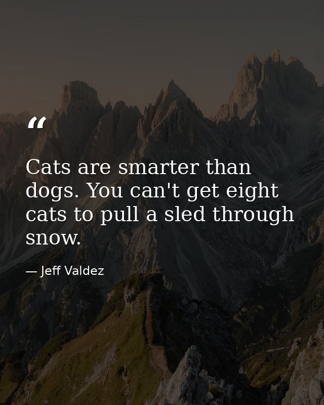 Cats are smarter than dogs. You can't get eight cats to pull a sled through snow. — Jeff Valdez
