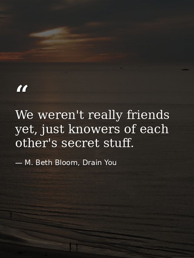 We weren't really friends yet, just knowers of each other's secret stuff. — M. Beth Bloom, Drain You