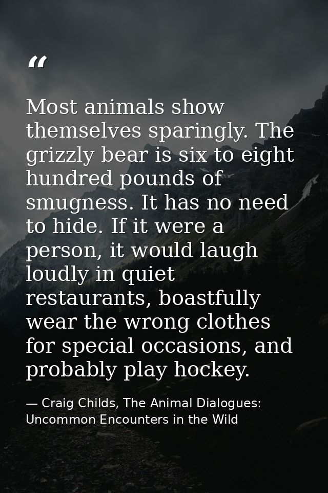 Most animals show themselves sparingly. The grizzly bear is six to eight hundred pounds of smugness. It has no need to h — Craig Childs, The Animal Dialogues: Uncommon Encounters in the Wild