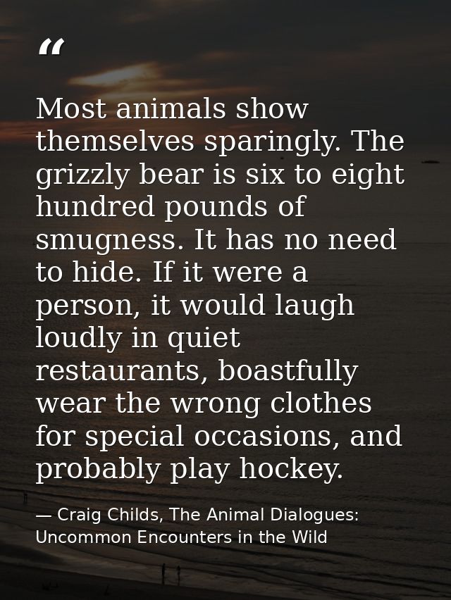 Most animals show themselves sparingly. The grizzly bear is six to eight hundred pounds of smugness. It has no need to h — Craig Childs, The Animal Dialogues: Uncommon Encounters in the Wild