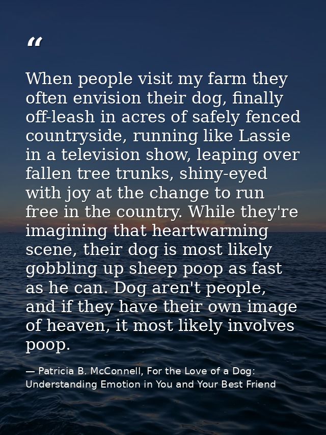 When people visit my farm they often envision their dog, finally off-leash in acres of safely fenced countryside, runnin — Patricia B. McConnell, For the Love of a Dog: Understanding Emotion in You and Your Best Friend