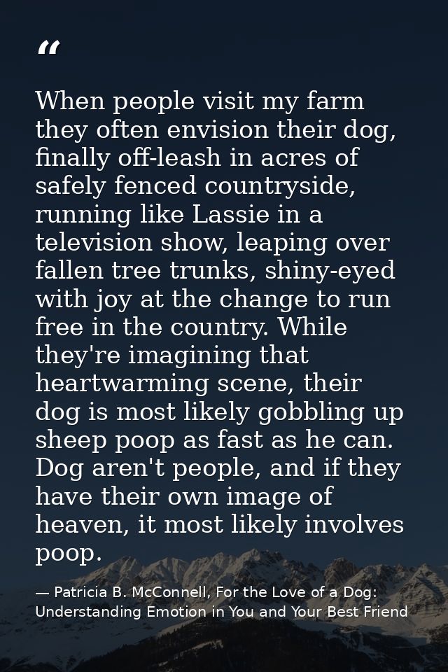 When people visit my farm they often envision their dog, finally off-leash in acres of safely fenced countryside, runnin — Patricia B. McConnell, For the Love of a Dog: Understanding Emotion in You and Your Best Friend