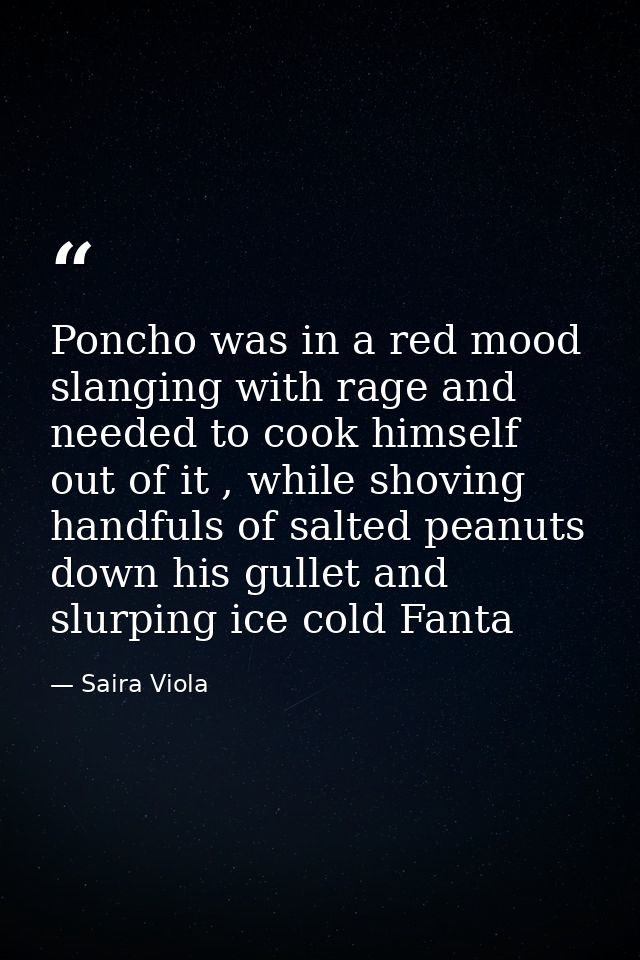 Poncho was in a red mood slanging with rage and needed to cook himself out of it , while shoving handfuls of salted pean — Saira Viola
