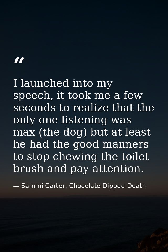 I launched into my speech, it took me a few seconds to realize that the only one listening was max (the dog) but at leas — Sammi Carter, Chocolate Dipped Death
