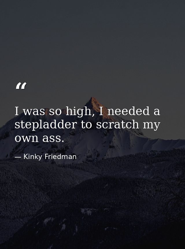 I was so high, I needed a stepladder to scratch my own ass. — Kinky Friedman