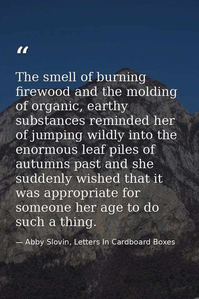 The smell of burning firewood and the molding of organic, earthy substances reminded her of jumping wildly into the enor — Abby Slovin, Letters In Cardboard Boxes