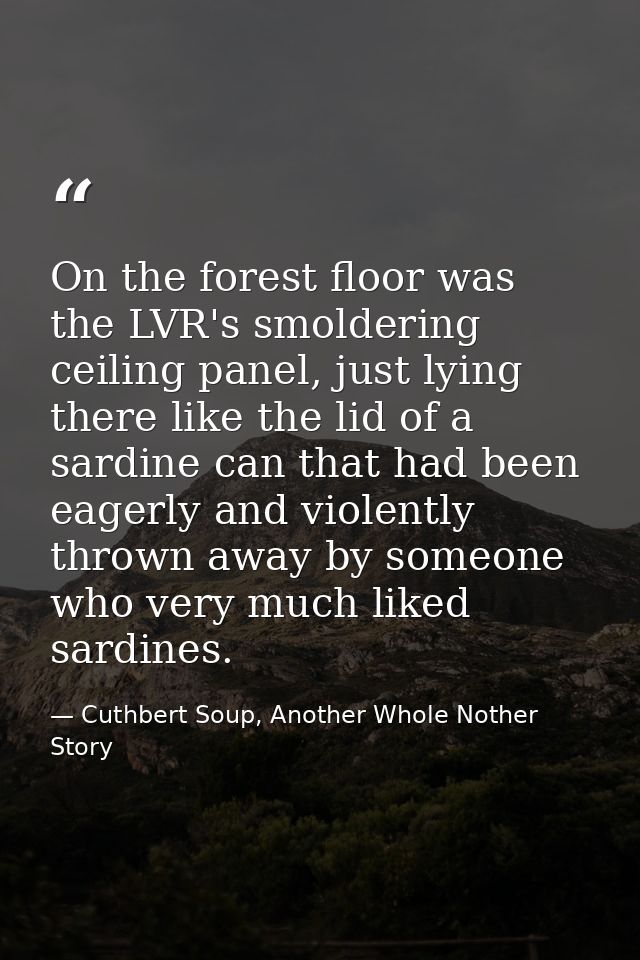 On the forest floor was the LVR's smoldering ceiling panel, just lying there like the lid of a sardine can that had been — Cuthbert Soup, Another Whole Nother Story