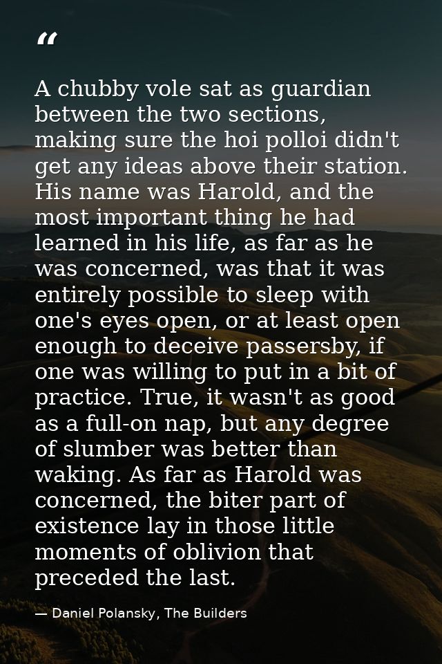 A chubby vole sat as guardian between the two sections, making sure the hoi polloi didn't get any ideas above their stat — Daniel Polansky, The Builders