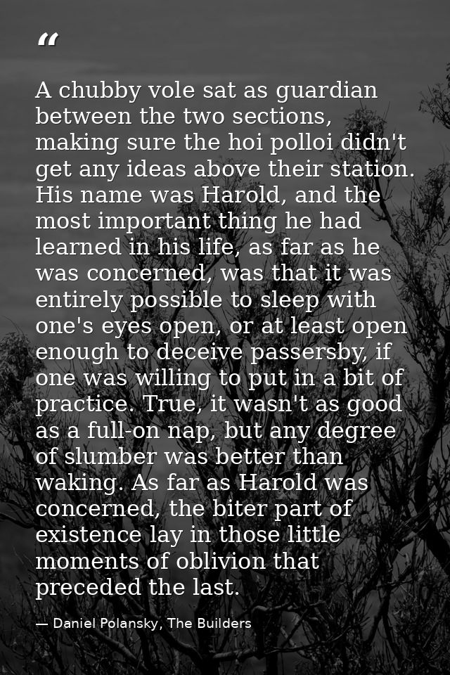 A chubby vole sat as guardian between the two sections, making sure the hoi polloi didn't get any ideas above their stat — Daniel Polansky, The Builders