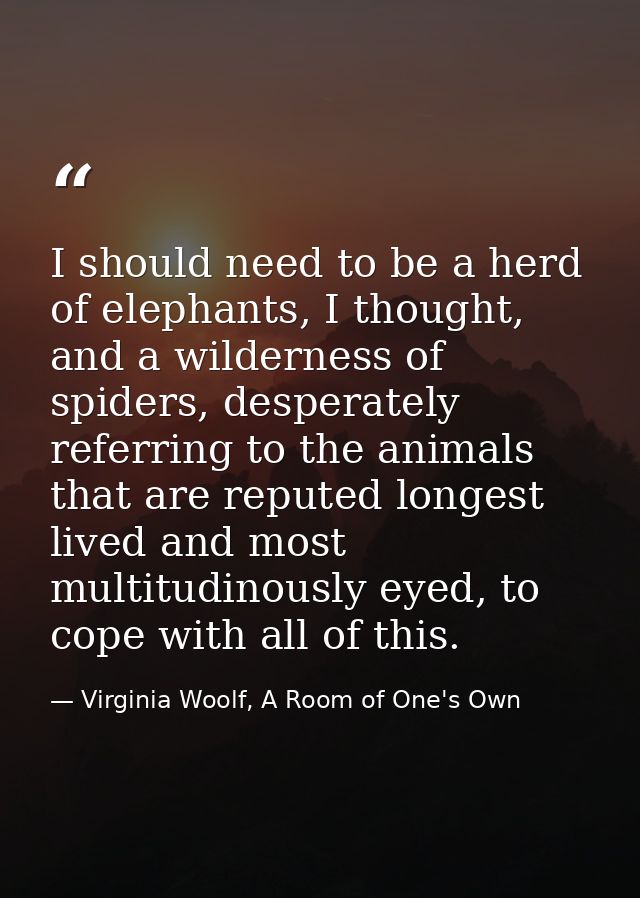 I should need to be a herd of elephants, I thought, and a wilderness of spiders, desperately referring to the animals th — Virginia Woolf, A Room of One's Own
