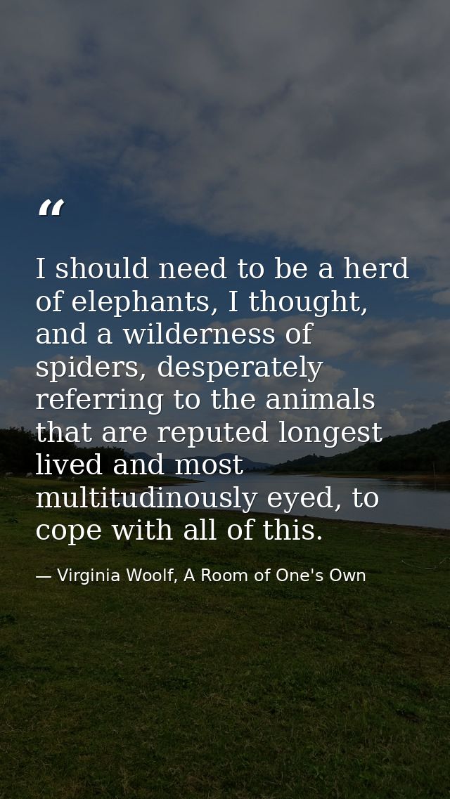 I should need to be a herd of elephants, I thought, and a wilderness of spiders, desperately referring to the animals th — Virginia Woolf, A Room of One's Own