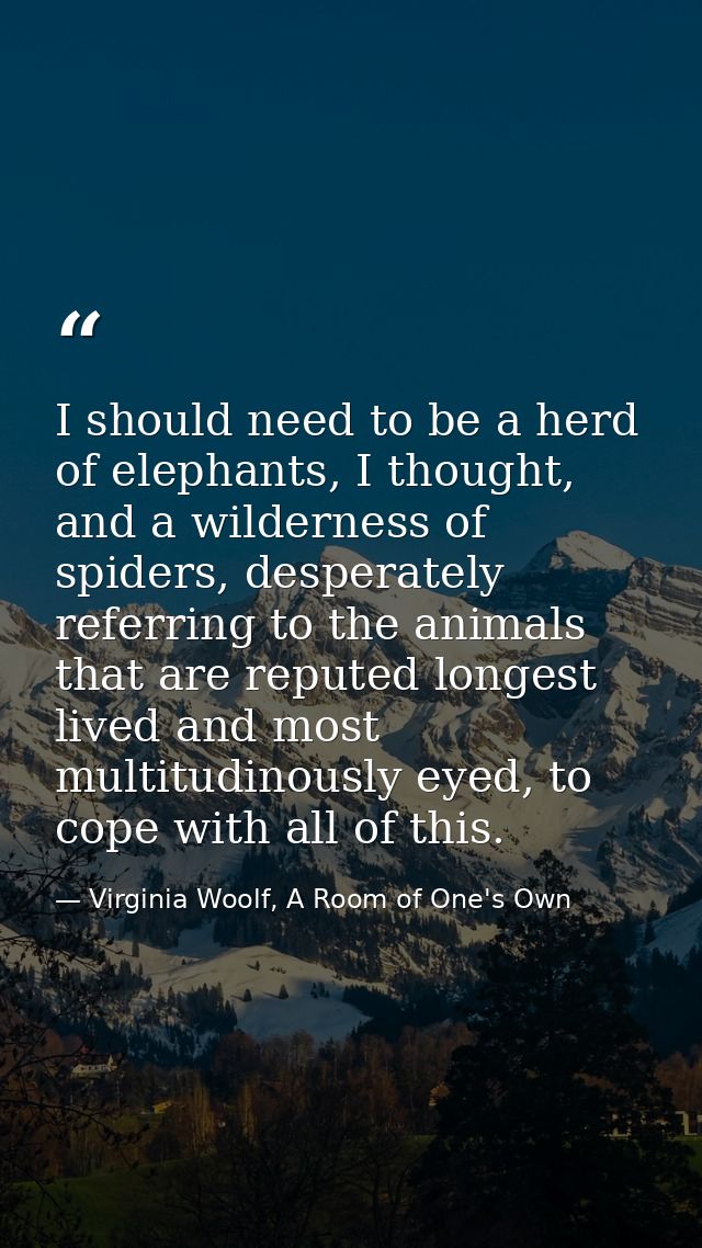 I should need to be a herd of elephants, I thought, and a wilderness of spiders, desperately referring to the animals th — Virginia Woolf, A Room of One's Own