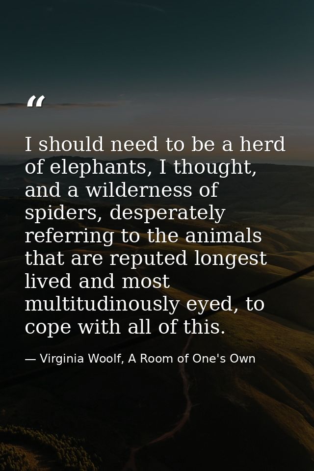 I should need to be a herd of elephants, I thought, and a wilderness of spiders, desperately referring to the animals th — Virginia Woolf, A Room of One's Own