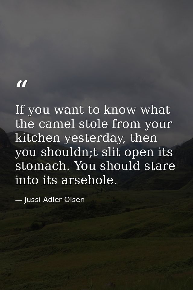 If you want to know what the camel stole from your kitchen yesterday, then you shouldn;t slit open its stomach. You shou — Jussi Adler-Olsen