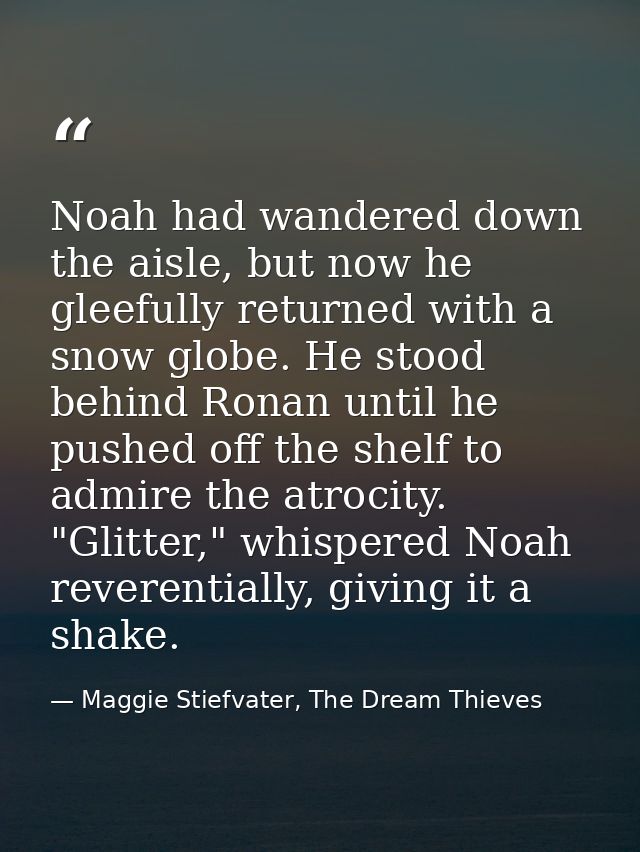 Noah had wandered down the aisle, but now he gleefully returned with a snow globe. He stood behind Ronan until he pushed — Maggie Stiefvater, The Dream Thieves