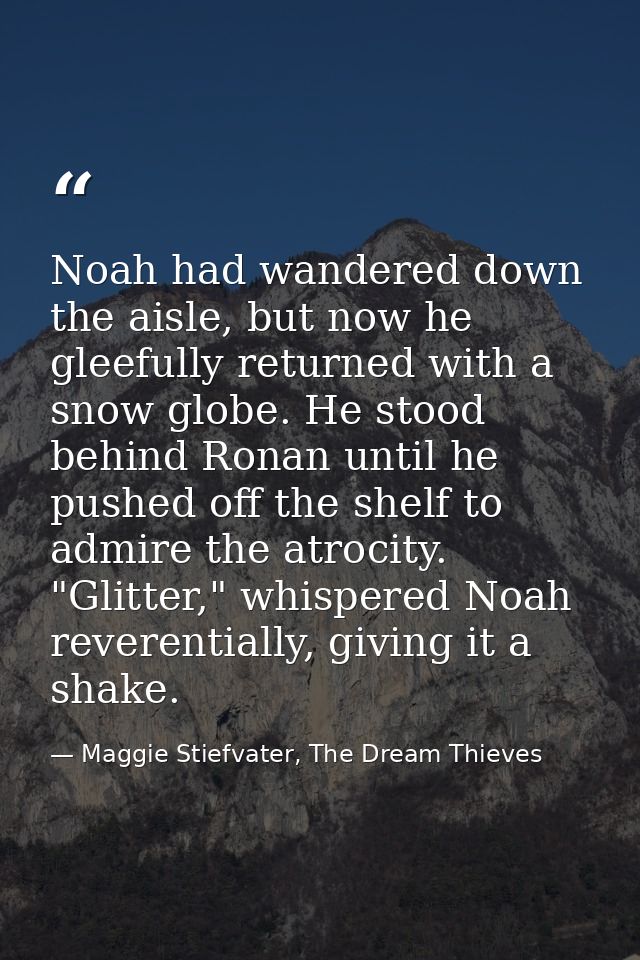 Noah had wandered down the aisle, but now he gleefully returned with a snow globe. He stood behind Ronan until he pushed — Maggie Stiefvater, The Dream Thieves