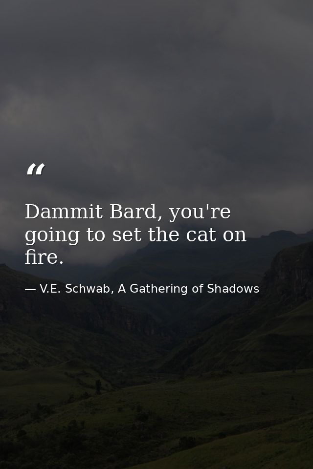 Dammit Bard, you're going to set the cat on fire. — V.E. Schwab, A Gathering of Shadows