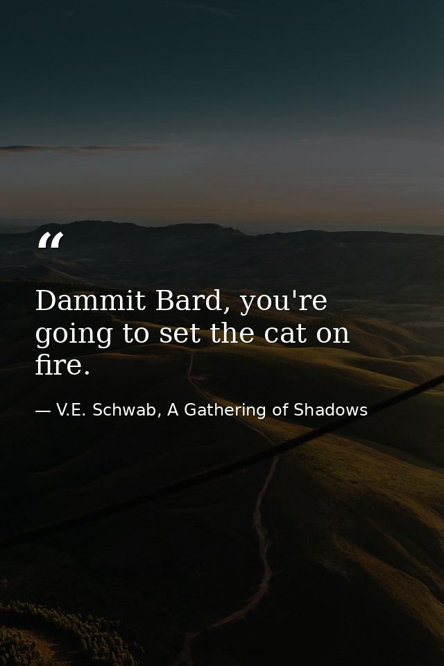 Dammit Bard, you're going to set the cat on fire. — V.E. Schwab, A Gathering of Shadows