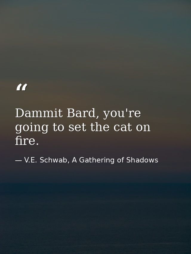 Dammit Bard, you're going to set the cat on fire. — V.E. Schwab, A Gathering of Shadows