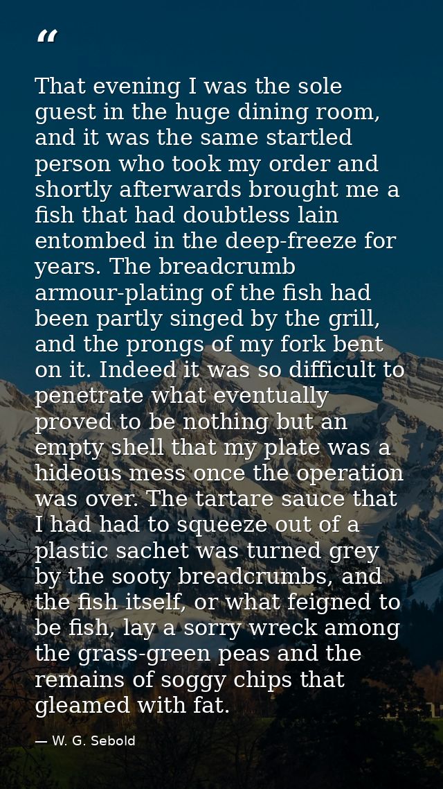 That evening I was the sole guest in the huge dining room, and it was the same startled person who took my order and sho — W. G. Sebold