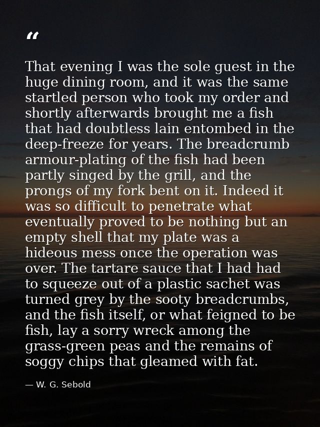 That evening I was the sole guest in the huge dining room, and it was the same startled person who took my order and sho — W. G. Sebold