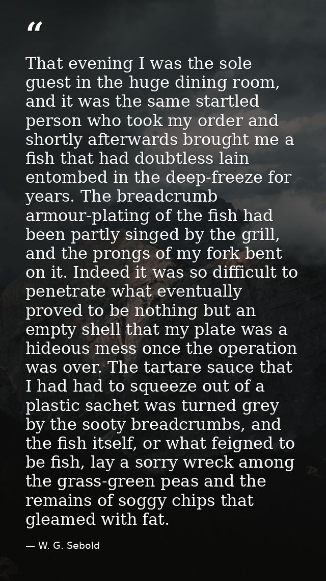 That evening I was the sole guest in the huge dining room, and it was the same startled person who took my order and sho — W. G. Sebold