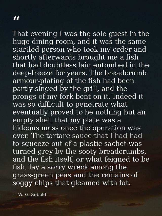 That evening I was the sole guest in the huge dining room, and it was the same startled person who took my order and sho — W. G. Sebold