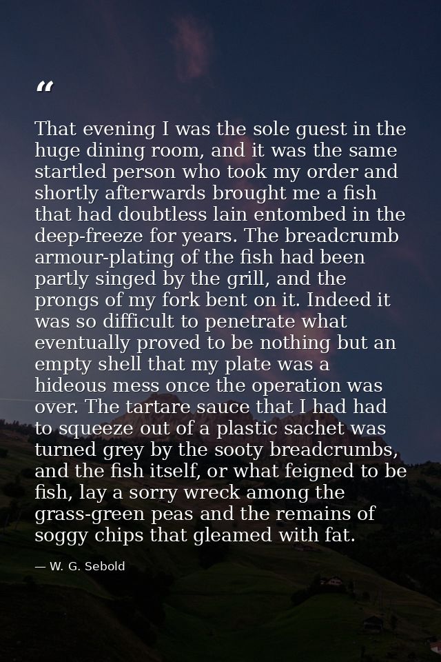 That evening I was the sole guest in the huge dining room, and it was the same startled person who took my order and sho — W. G. Sebold