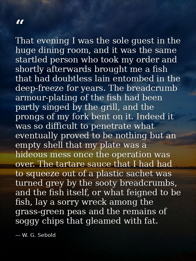 That evening I was the sole guest in the huge dining room, and it was the same startled person who took my order and sho — W. G. Sebold