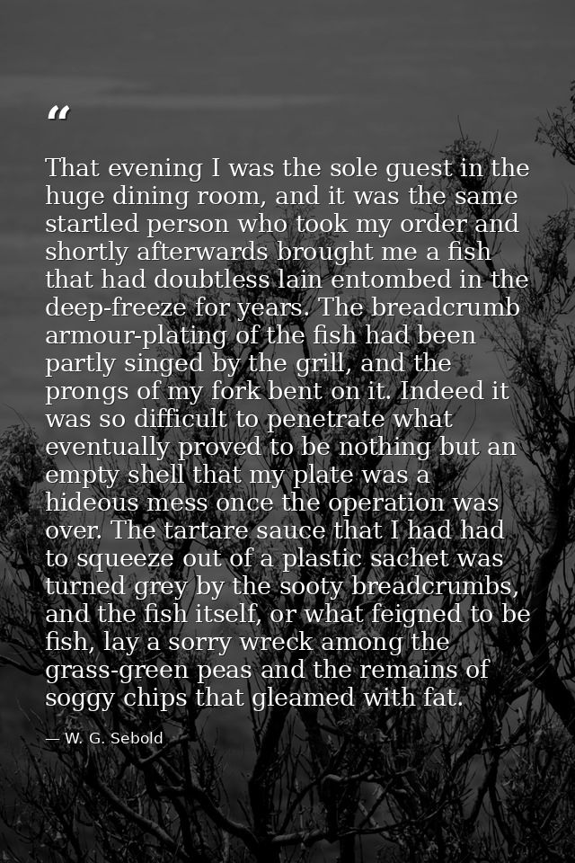 That evening I was the sole guest in the huge dining room, and it was the same startled person who took my order and sho — W. G. Sebold