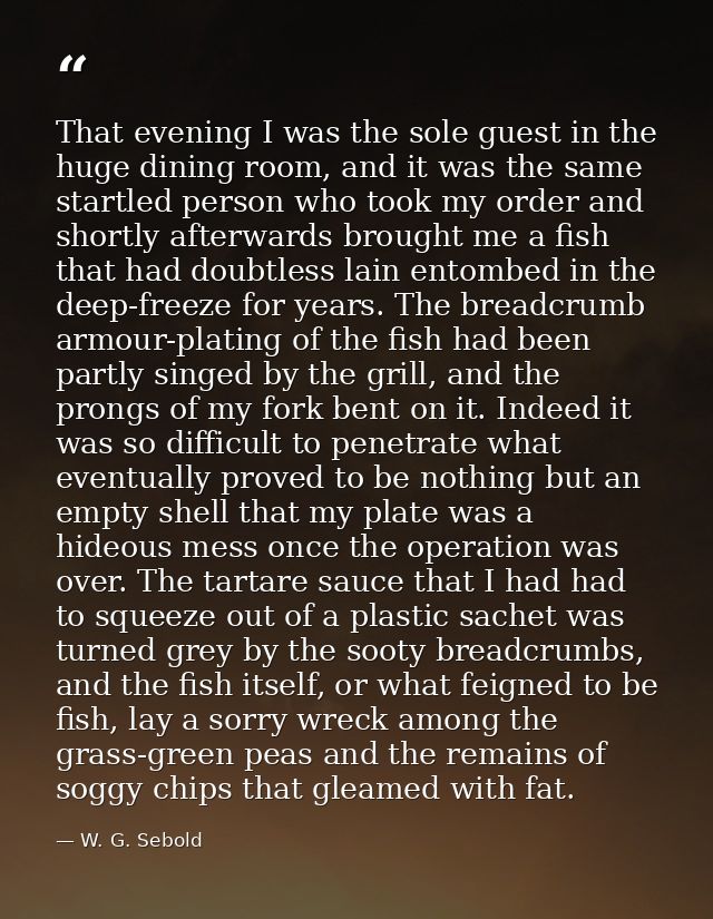 That evening I was the sole guest in the huge dining room, and it was the same startled person who took my order and sho — W. G. Sebold