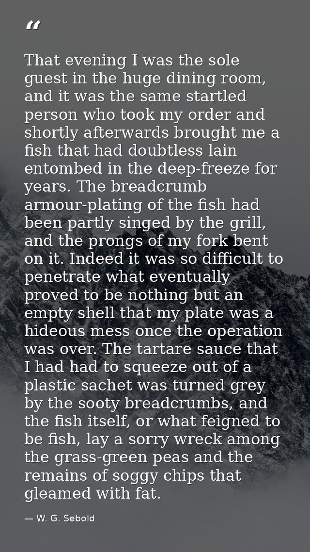 That evening I was the sole guest in the huge dining room, and it was the same startled person who took my order and sho — W. G. Sebold