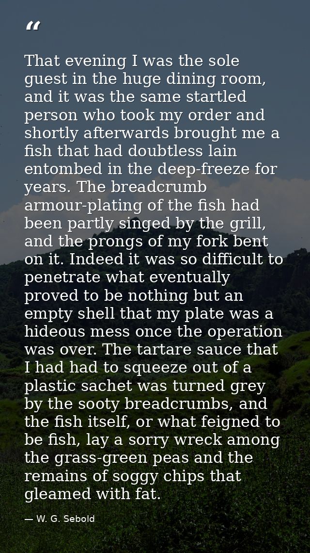 That evening I was the sole guest in the huge dining room, and it was the same startled person who took my order and sho — W. G. Sebold