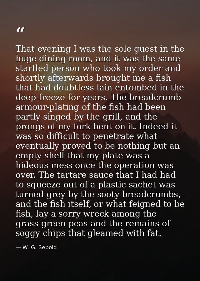 That evening I was the sole guest in the huge dining room, and it was the same startled person who took my order and sho — W. G. Sebold