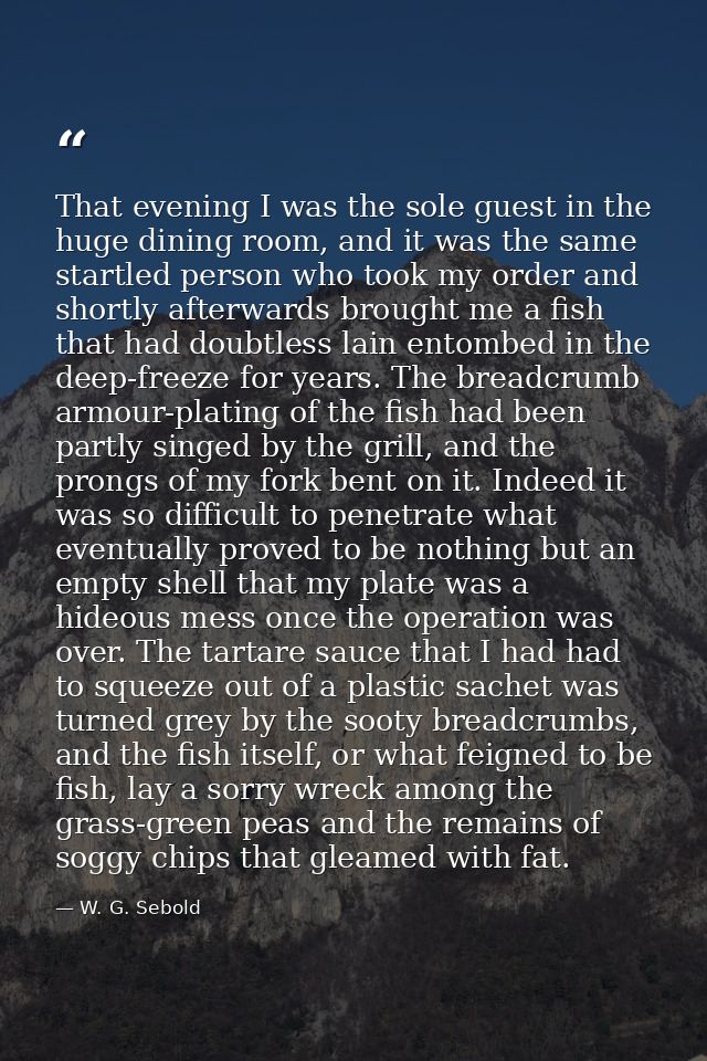 That evening I was the sole guest in the huge dining room, and it was the same startled person who took my order and sho — W. G. Sebold