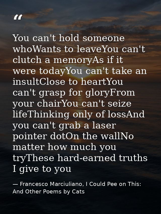 You can't hold someone whoWants to leaveYou can't clutch a memoryAs if it were todayYou can't take an insultClose to hea — Francesco Marciuliano, I Could Pee on This: And Other Poems by Cats
