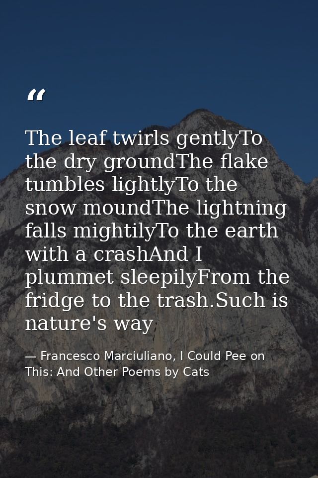 The leaf twirls gentlyTo the dry groundThe flake tumbles lightlyTo the snow moundThe lightning falls mightilyTo the eart — Francesco Marciuliano, I Could Pee on This: And Other Poems by Cats