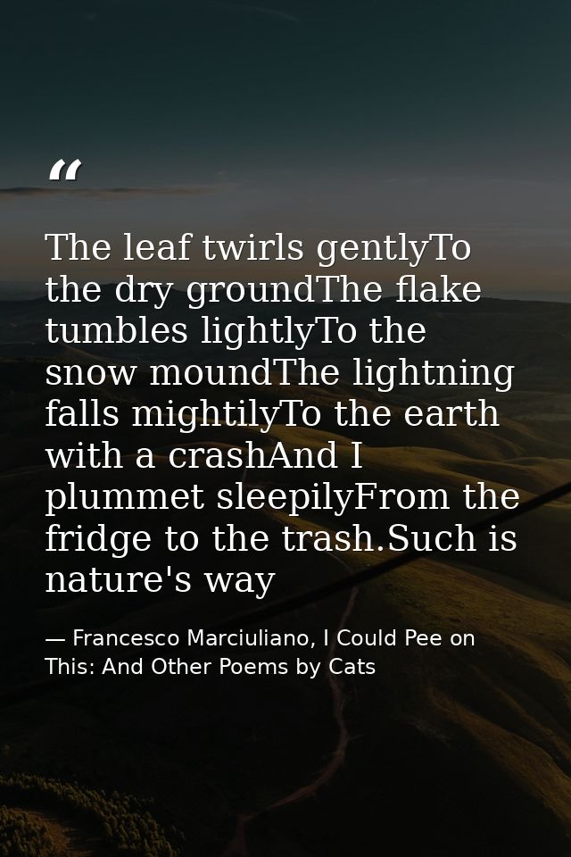 The leaf twirls gentlyTo the dry groundThe flake tumbles lightlyTo the snow moundThe lightning falls mightilyTo the eart — Francesco Marciuliano, I Could Pee on This: And Other Poems by Cats