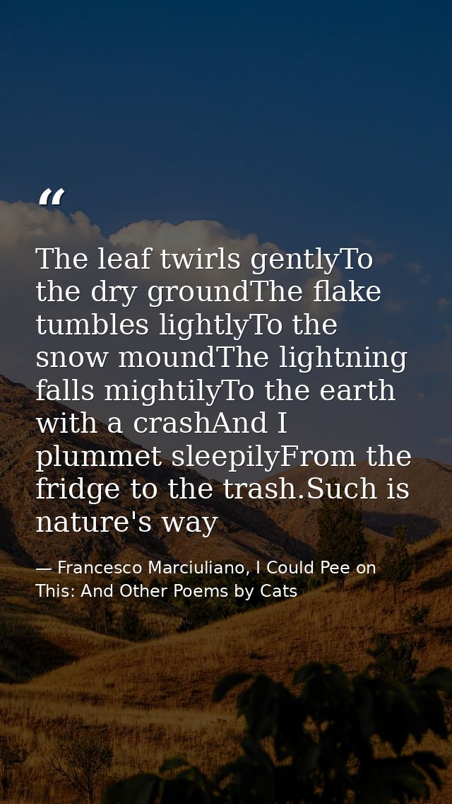 The leaf twirls gentlyTo the dry groundThe flake tumbles lightlyTo the snow moundThe lightning falls mightilyTo the eart — Francesco Marciuliano, I Could Pee on This: And Other Poems by Cats