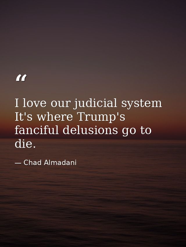 I love our judicial system It's where Trump's fanciful delusions go to die. — Chad Almadani