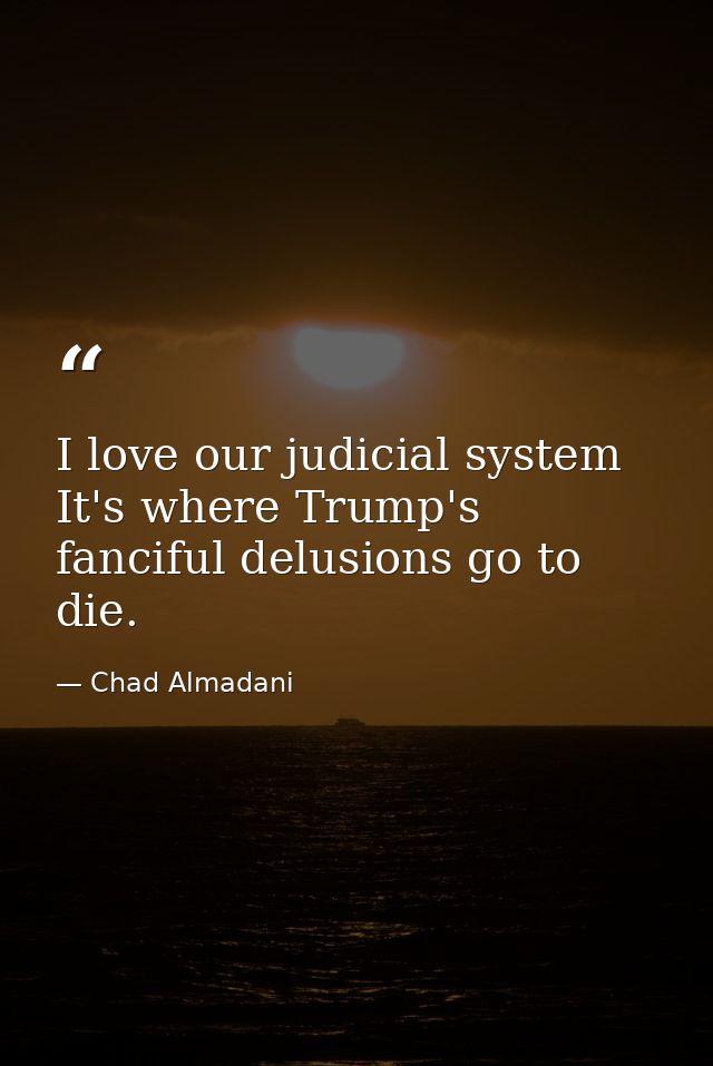 I love our judicial system It's where Trump's fanciful delusions go to die. — Chad Almadani
