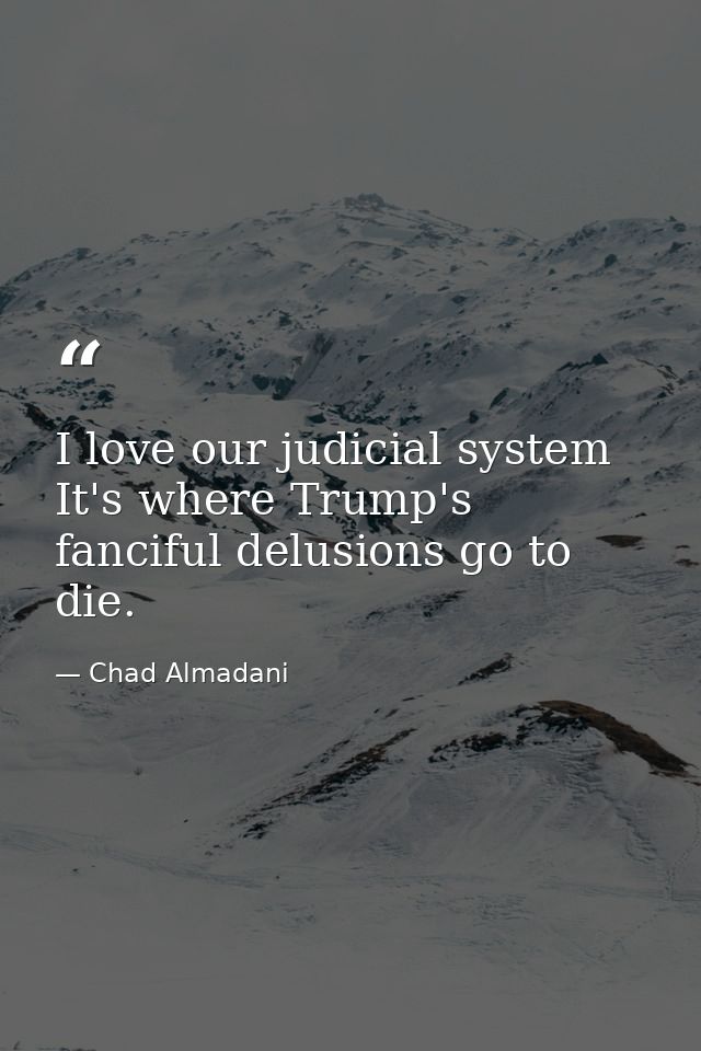 I love our judicial system It's where Trump's fanciful delusions go to die. — Chad Almadani