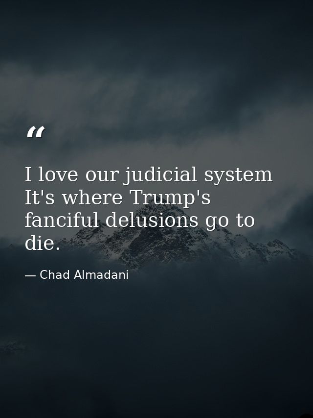 I love our judicial system It's where Trump's fanciful delusions go to die. — Chad Almadani