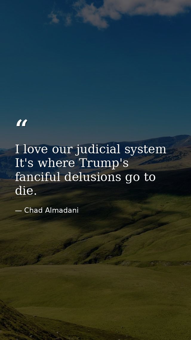 I love our judicial system It's where Trump's fanciful delusions go to die. — Chad Almadani