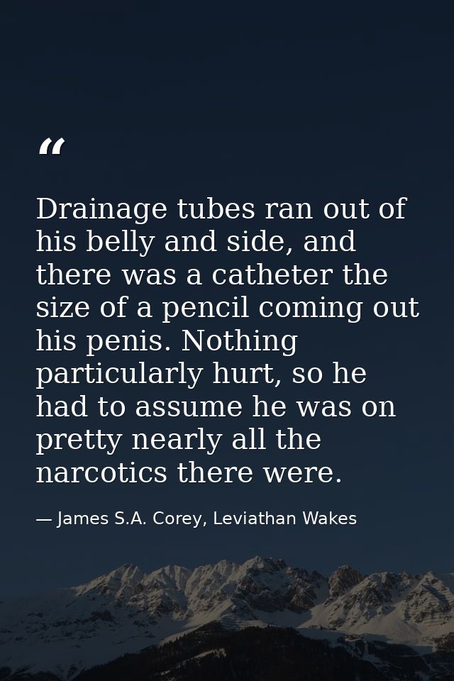 Drainage tubes ran out of his belly and side, and there was a catheter the size of a pencil coming out his penis. Nothin — James S.A. Corey, Leviathan Wakes