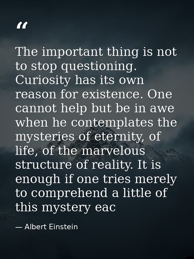The important thing is not to stop questioning. Curiosity has its own reason for existence. One cannot help but be in aw — Albert Einstein