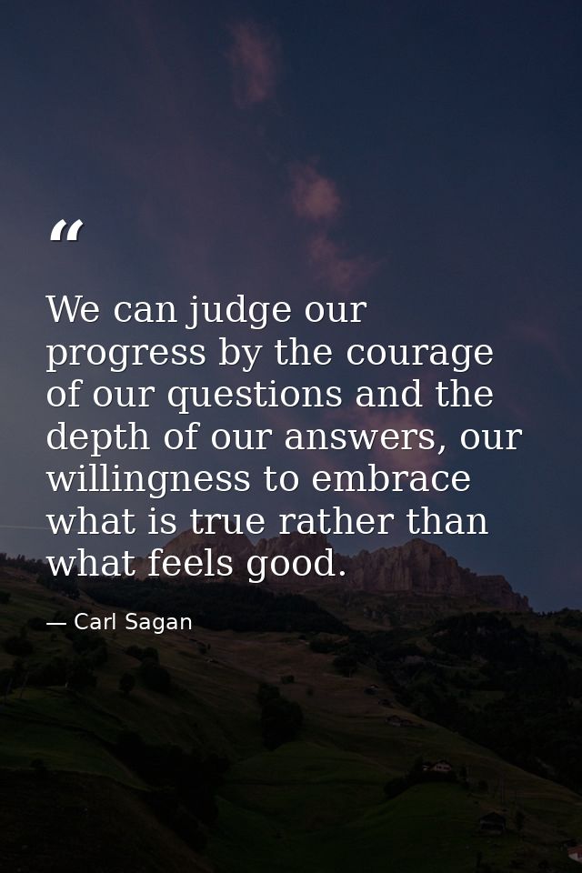 We can judge our progress by the courage of our questions and the depth of our answers, our willingness to embrace what  — Carl Sagan