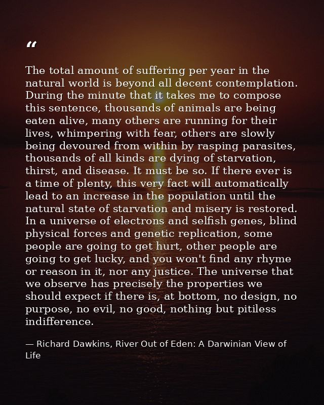 The total amount of suffering per year in the natural world is beyond all decent contemplation. During the minute that i — Richard Dawkins, River Out of Eden: A Darwinian View of Life