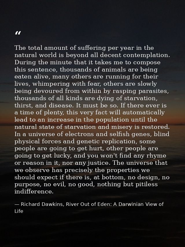 The total amount of suffering per year in the natural world is beyond all decent contemplation. During the minute that i — Richard Dawkins, River Out of Eden: A Darwinian View of Life